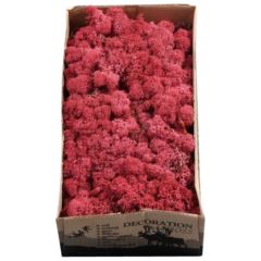 IJslands-mos-bordeaux-500-gram