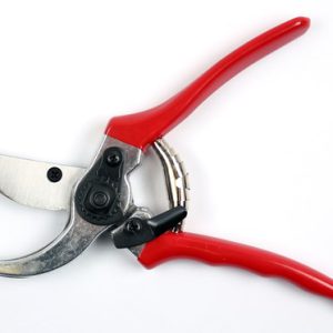 Snoeischaar-Rood-21cm